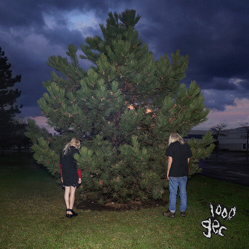 100 gecs - 1000 Gecs -Vinyl